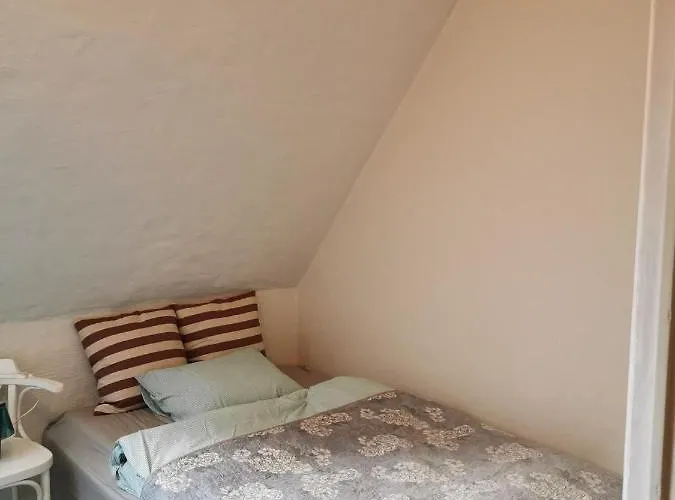 Apartment Big On The Town Square